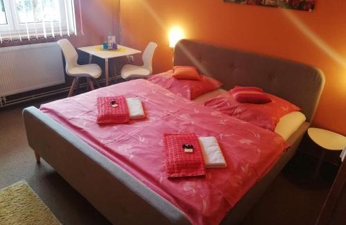 Frantiskovy Lazne House | Pet-Friendly Retreat at Pension Three - Rated 9/10 by Guests