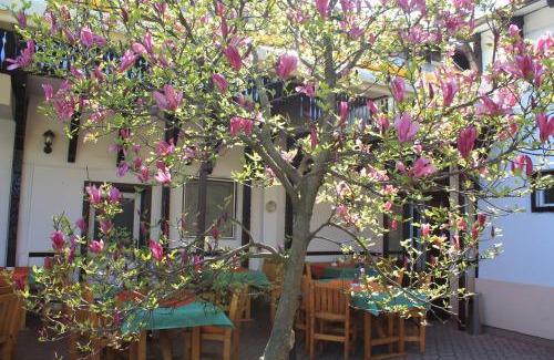 Tirgu Mures House | Pension Tip-Top: Pet-Friendly Retreat with Oceanfront Views