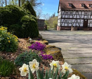 Burghaun House | Family-Friendly Pension Untere Mühle with Breakfast Included