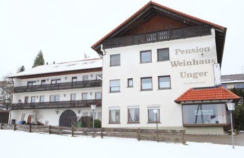 Schwenningen Hotel | Discover Pension Weinhaus Unger: Family-Friendly Retreat