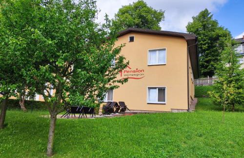 Wernesgrun House | Pet-Friendly Pension Wernesgrün with Breakfast Included
