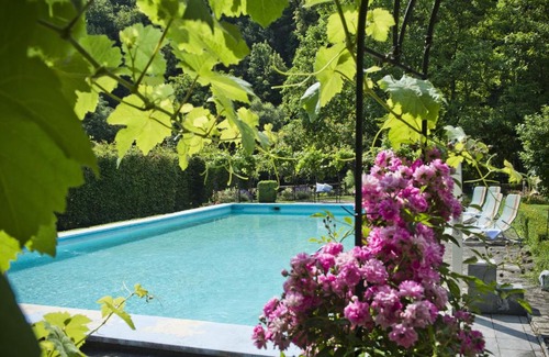 Priel House | Cozy Pension Zierlinger: Family-Friendly & Pet Welcoming