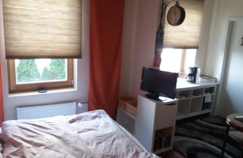 St. Gertrud House | Guest Favorite: Pensionszimmer Lützowzimmer with Kitchenette
