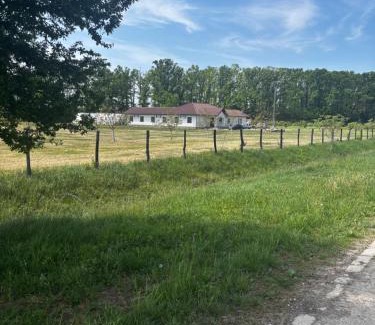 Cefa House | Pensiune Agroturistică RAY
