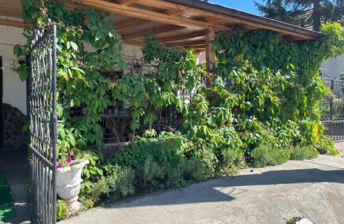 Axente Sever Apartment | Top-Rated Pensiune with Restaurant & Breakfast Included
