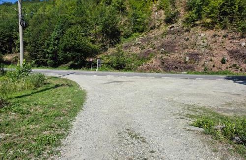 Cartisoara Villa | Pensiune Pârâul Rece Transfăgărășan
