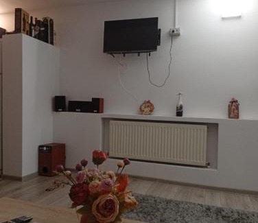 Calea Sever Bocu Apartment | Family-Friendly Terrace Apartment at Casa Lili