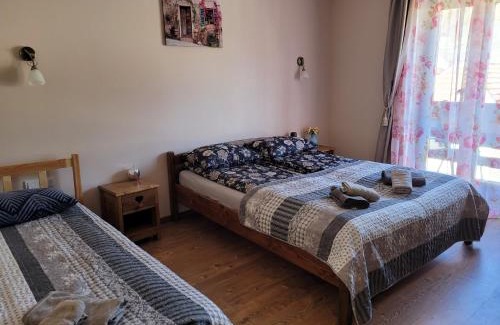 Boholt House | Discover Pensiunea Adicris: Pet-Friendly & Family Welcoming