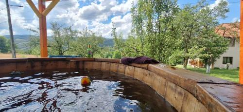Poieni House | Exceptional Stay at Pensiunea Agroturistica Ica with Pool