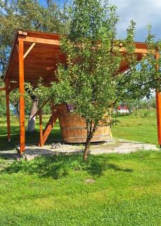 Poieni House | Exceptional Stay at Pensiunea Agroturistica Ica with Pool
