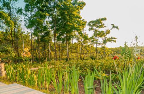 Costinesti House | Discover Pensiunea Agroturistica Valentino: Family-Friendly Retreat