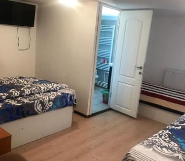 Bacau House | Pensiunea Alexa