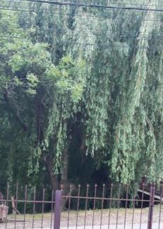 Sugag House | Pet-Friendly PENSIUNEA ANA Transalpina for Family Getaways