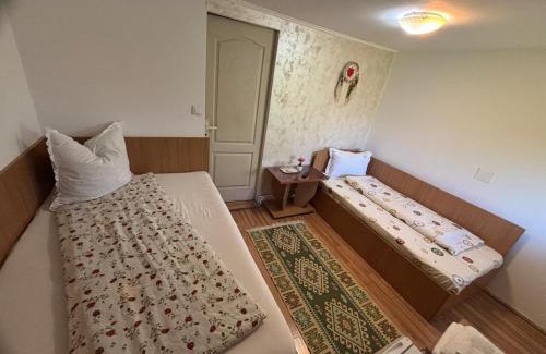 Sapinta House | Discover Pensiunea Anca Sapanta: Family-Friendly Retreat