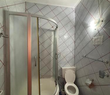 Sapinta House | Discover Pensiunea Anca Sapanta: Family-Friendly Retreat