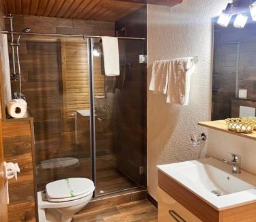 Cisnadioara House | Discover Pensiunea Apfelhaus: Family-Friendly Retreat