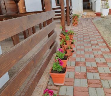 Siria House | Guest Rated: Pensiunea Aurelia with Pool & Restaurant