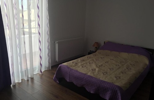 Bradu House | Guest Rated 10/10: Pensiunea Bradului with Family Amenities