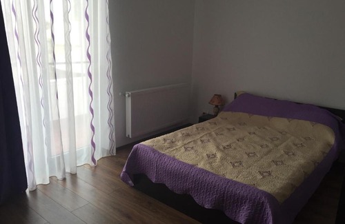Bradu House | Guest Rated 10/10: Pensiunea Bradului with Family Amenities