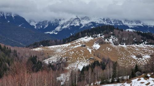 Moieciu House | Pet-Friendly Pensiunea Brian: Guest Rated 8.7/10