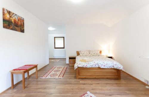 Lunca Jaristei Cabin | Top-Rated Pensiunea Cașoca-Cascadă: Family-Friendly Retreat