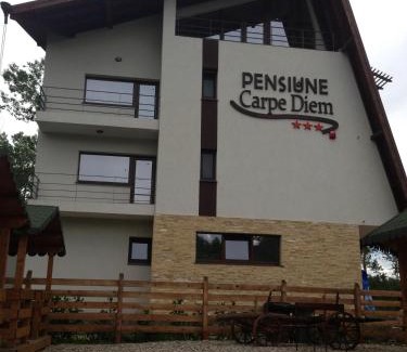 Ramnicu Valcea House | Discover Pensiunea Carpe Diem: Pet-Friendly Retreat