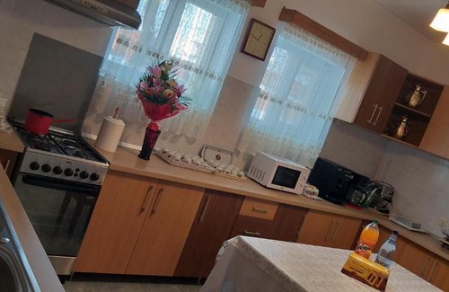 Sapinta House | Discover Pensiunea Casa Șteț: Child-Friendly Retreat