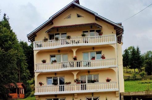Borsa House | Cozy Pensiunea Casa Bradet: Pet & Child Friendly Stay
