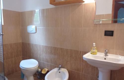 Borsa House | Cozy Pensiunea Casa Bradet: Pet & Child Friendly Stay