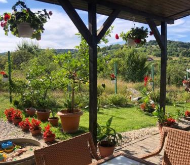Cisnadie House | Elegant Pensiunea Casa cu Flori: Family-Friendly Retreat