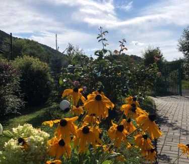 Cisnadie House | Elegant Pensiunea Casa cu Flori: Family-Friendly Retreat
