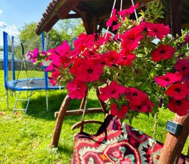 Breb House | Experience Casa Petran: Top-Rated Pet-Friendly Retreat