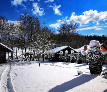 Cristian House | Discover Pensiunea Colt De Rai: Family-Friendly Retreat