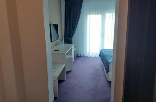 Ranca Hotel | Discover Pensiunea Constantin: 4-Star Family-Friendly Retreat