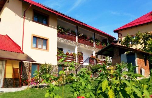 Horezu House | Family-Friendly Pensiunea Dana: Guest Rated 9/10