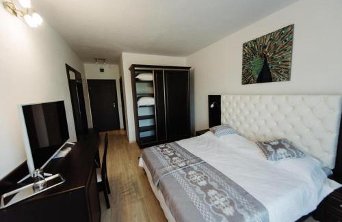 Blaj House | Experience Pensiunea Emris: Pet-Friendly Haven for Families