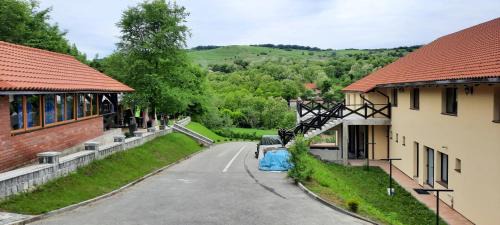 Blaj House | Experience Pensiunea Emris: Pet-Friendly Haven for Families