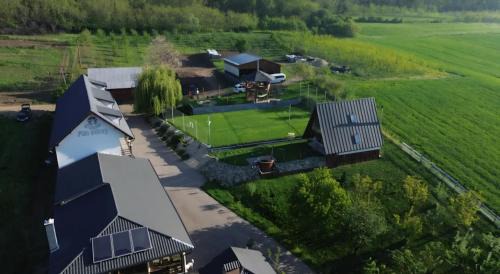 Cergau Mare House | Pet-Friendly Retreat at Pensiunea Fata Viilor for Families
