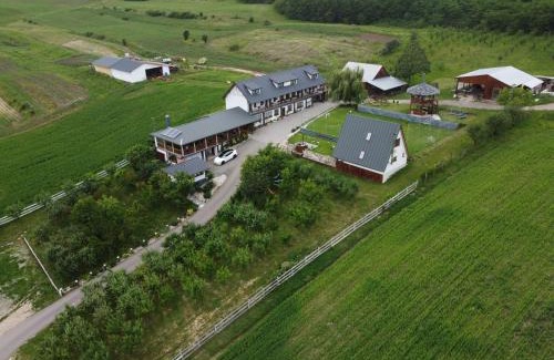 Cergau Mare House | Pet-Friendly Retreat at Pensiunea Fata Viilor for Families