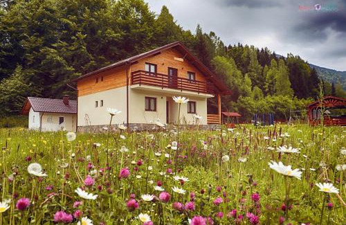 Moisei House | Top-Rated Pensiunea Floare de Colt with Family-Friendly Amenities