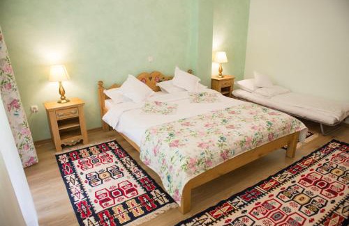 Galda de Jos House | Top-Rated Pensiunea Floare De Colt with Breakfast & Kitchen