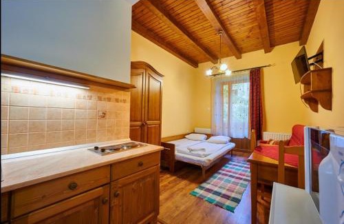 Baile Tusnad House | Discover Pensiunea Flora: Guest Rated 9/10 with Pool Access