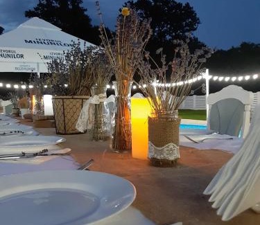 Cordau House | Guest Rated 10/10: Pensiunea Hanna with Pool & Breakfast