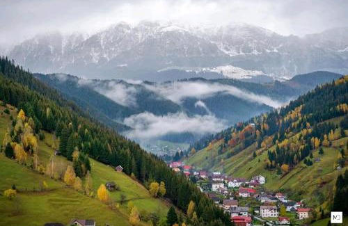 Moieciu House | Pet-Friendly Retreat at Pensiunea Hanul Dorului - 9.5/10
