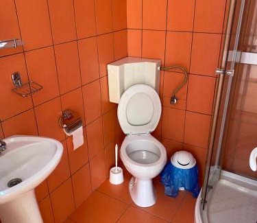 Sangeorz-Bai House | Pet-Friendly Retreat at Pensiunea Hyperion Cormaia