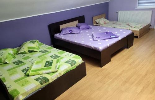 Gura Suhasului House | Cozy Pensiunea Ilarie: Pet & Child Friendly Retreat