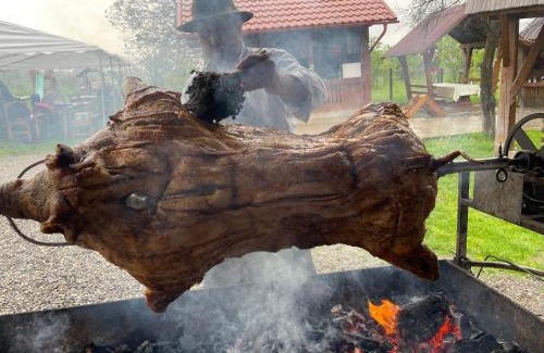 Vadu Izei House | Discover Pensiunea Ileana Teleptean: Pet-Friendly Retreat