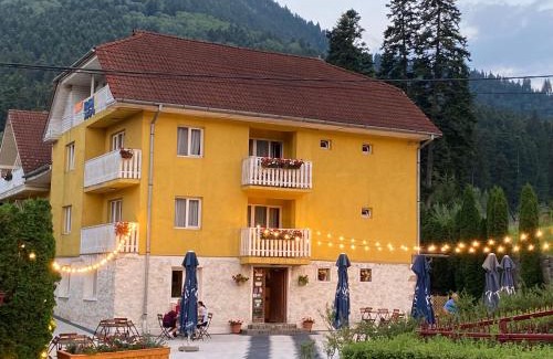Baile Tusnad House | Budget-Friendly Stay at Pensiunea Iris with Restaurant & More