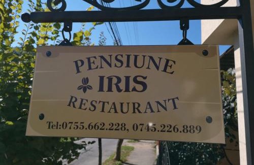 Sighetu Marmatiei House | Guest Rated Pensiunea Iris: Family-Friendly with Kitchen