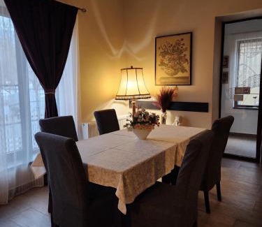 Sighetu Marmatiei House | Guest Rated Pensiunea Iris: Family-Friendly with Kitchen